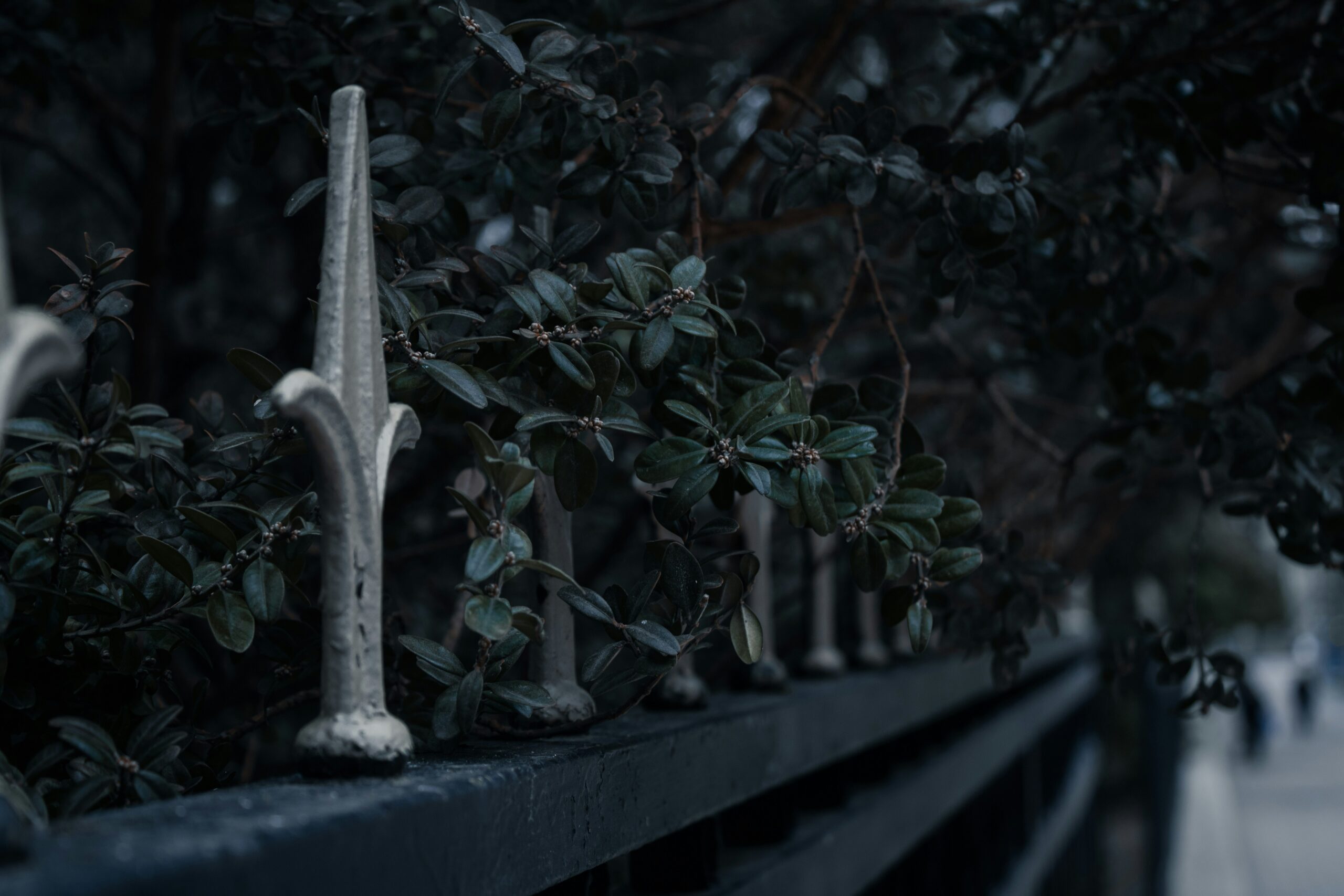 Best Investment Picks for New York Investors in 2025